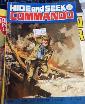 Hide and Seek Commando - Gamebreaker