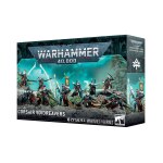 Warhammer Aekdari Corsair Voidreavers (46-84)